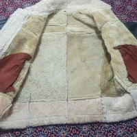 بوفالو خارجی اصل|لباس|کامیاران, |دیوار