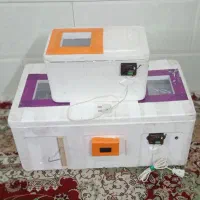 دستگاه جوجه کشی نیمه اتومات