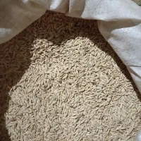 جو درجه یک|حیوانات مزرعه|محمدیه-قزوین, |دیوار