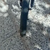 دوچرخه۲۶