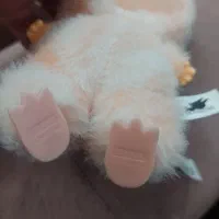 عروسک لبوبو|اسباب‌‌بازی|قم, حنیف نژاد|دیوار