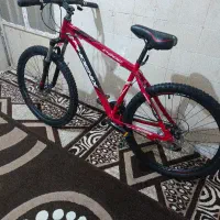 دوچرخه حرفه ای