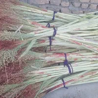 جارو ذراتی|لوازم نظافت|الشتر, |دیوار