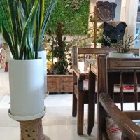 ظرف شور وآشپزی .کافه سنتی