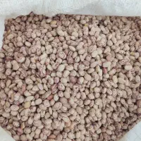 پخش عمده حبوبات و خشکبار