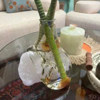 گلدان رومیزی|صنایع دستی و سایر لوازم تزئینی|پرند, فاز ۵|دیوار