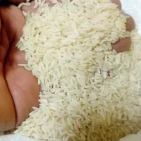 برنج طارم هاشمی|خوردنی و آشامیدنی|کرج, عظیمیه|دیوار