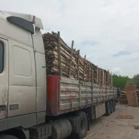 خرید و فروش چوب هیزم باغی پشت لا خاک اره|خدمات باغبانی و درختکاری|تالش, تالش|دیوار