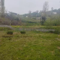 زمین-مسکونی-سلیم-آباد