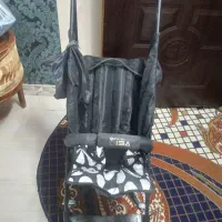 کالسکه عصایی