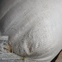 سبوس برنج (کپک)