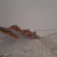 رگال بزرگ و قفسه ام دی اف|کتابخانه، شلف، قفسههای دیواری|بروجرد, |دیوار