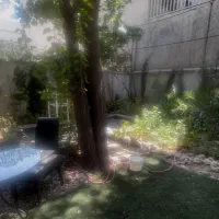 ۱۰۰ متر بنا محله صدر دنج|اجارهٔ دفتر صنعتی، کشاورزی، تجاری|تهران, درب دوم|دیوار