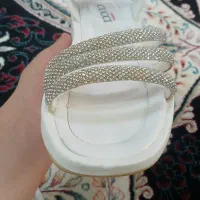 کفش مجلسی