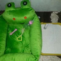 توله پامر روباهی و شیتزو سوپر|سگ|مشهد, شهید بصیر|دیوار