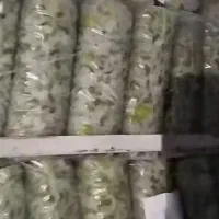 باقالی و نخود