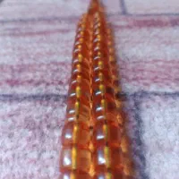 تسبیح سندلوس
