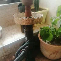 قلیان دوسیب شلیل