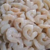 میگو دریایی