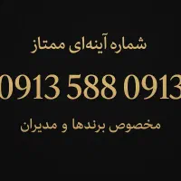 0913 588 0913 مخصوص برند های حرفه ای