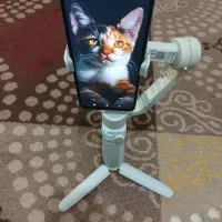 گیمبال موبایل ژیون Q4