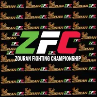 آموزش هنرهای ترکیبی رزمی MMA