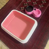 ظرف خاک و ظرف غذا