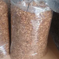 پیازداغ نگینی تیره