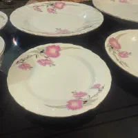 سرویس چینی زرین آک|ظروف سرو و پذیرایی|شاهینشهر, شهرک سایت|دیوار