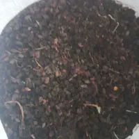 کشمش|خوردنی و آشامیدنی|همدان, |دیوار