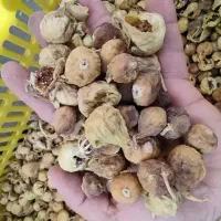 خریدار نقدی انواع انجیر و بادام