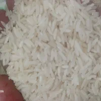 برنج و لاشه فجر