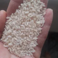 برنج عنبربو