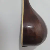 سه‌تار حرفه‌ای مهر برقی جانی|سازهای سنتی|سردشت, |دیوار