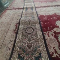 یک عدد کناره نونو