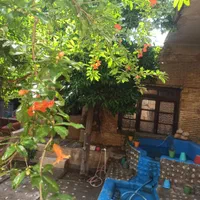 اتاق سنتی مرکز شهر جهت افراد شاغل و دانشجو|اجارهٔ خانه و ویلا|شیراز, بازار|دیوار