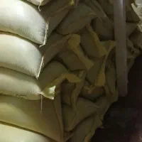 گندم آبی پیشگام درجه یک بوجاری شده