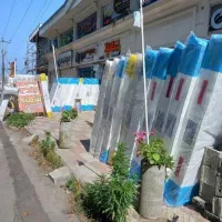 تشک رویال|تشک تختخواب|فومن, |دیوار