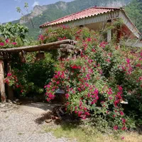 اجاره ویلا ییلاقی جنگلی در ارتفاعات دوهزار|اجارهٔ کوتاهمدت ویلا و باغ|تنکابن, |دیوار