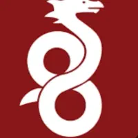 سرور وایگارد