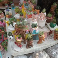 کاکتوس و مجسمه فانتزی برای شرکت ها اداره ها.منازل