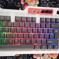 موس و کیبورد