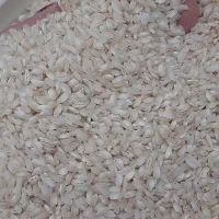 برنج جلب هاشمی