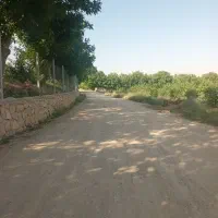 هم-خانه