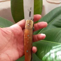 چاقو دسته شاخ کهنه دوکاره کلکسیونی انگشتر|کلکسیون اشیاء عتیقه|اصفهان, رزمندگان|دیوار