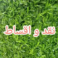 فنس برگی .فنس چمنی .فنس چمنی استوک . یووی|خدمات باغبانی و درختکاری|خمینیشهر, |دیوار