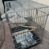 قفس کاسکو|لوازم جانبی حیوانات|تهران, پرستار|دیوار