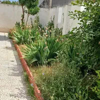 مجموعه خدماتی فضای سبز سبز آوران ارغوان|خدمات باغبانی و درختکاری|بابلسر, |دیوار