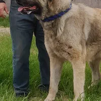 سن ۴دهن پاک بشرت