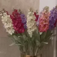 گلهای خارجی نو